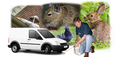 Beighton local van